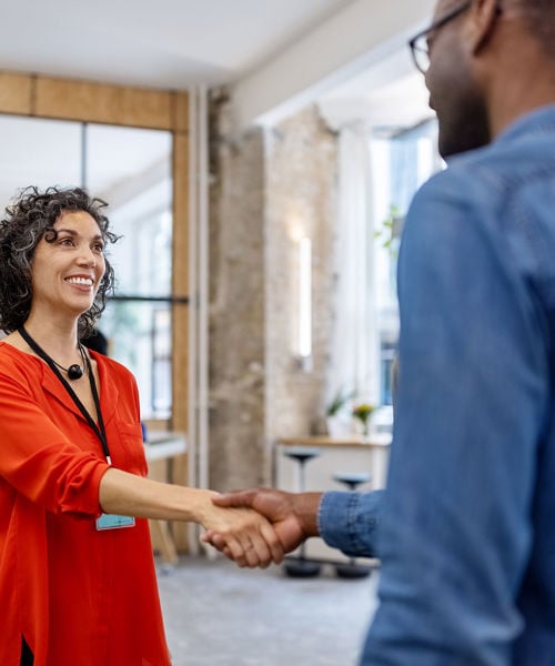 Two Professionals Shaking Hands 