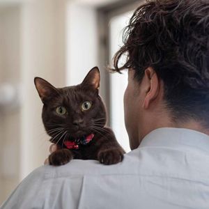 Gettyimages 1135485301 Web 