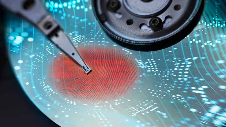 Uncovering Digital Media Fraud Image 