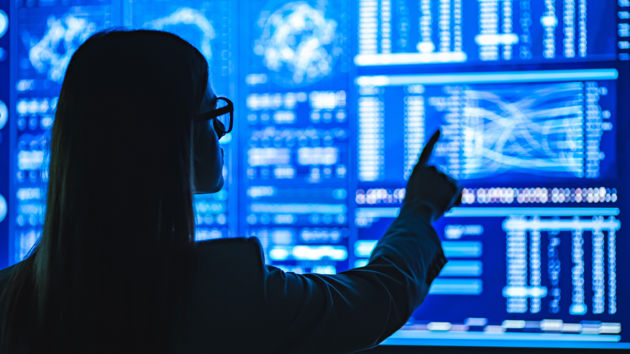 Woman Analyzing Data 