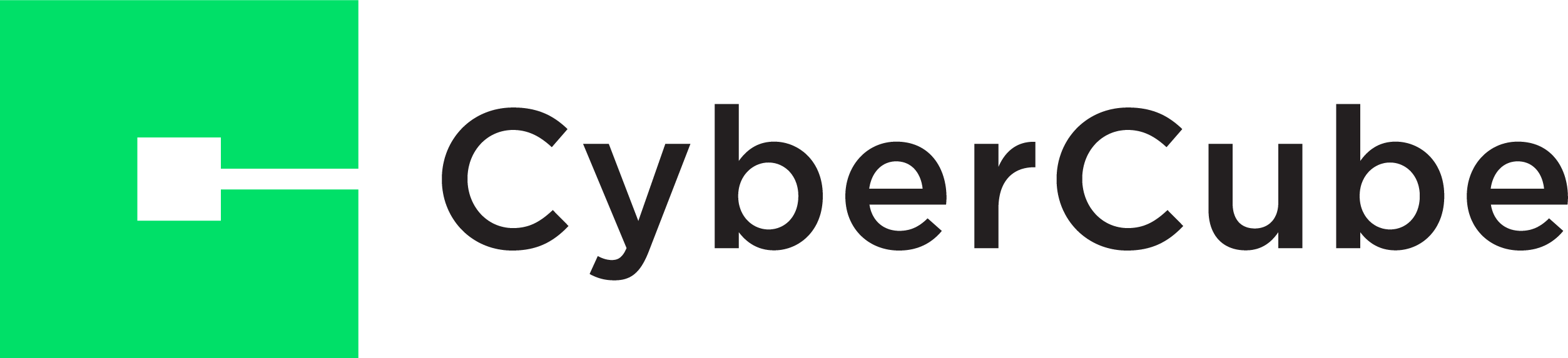 Cyber Cube 